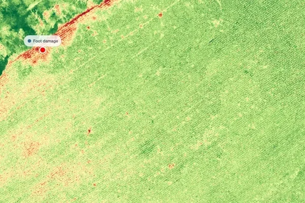 NDVI vegetation map of a field in the MapperTool viewer, with a pin point marking foot damage along a red stressed strip at the field edge