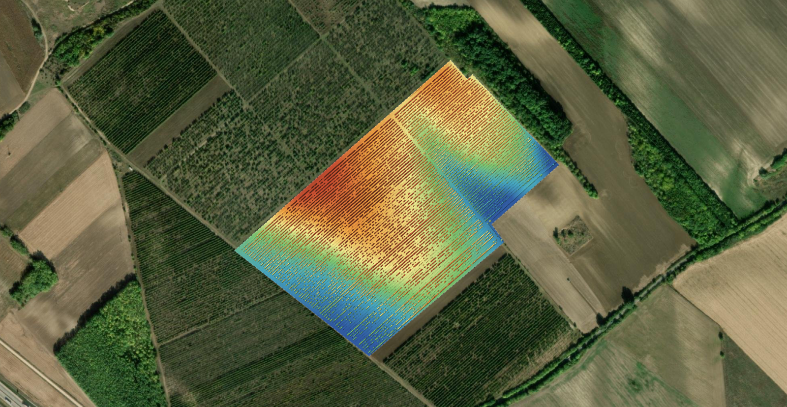 Digital Surface Model