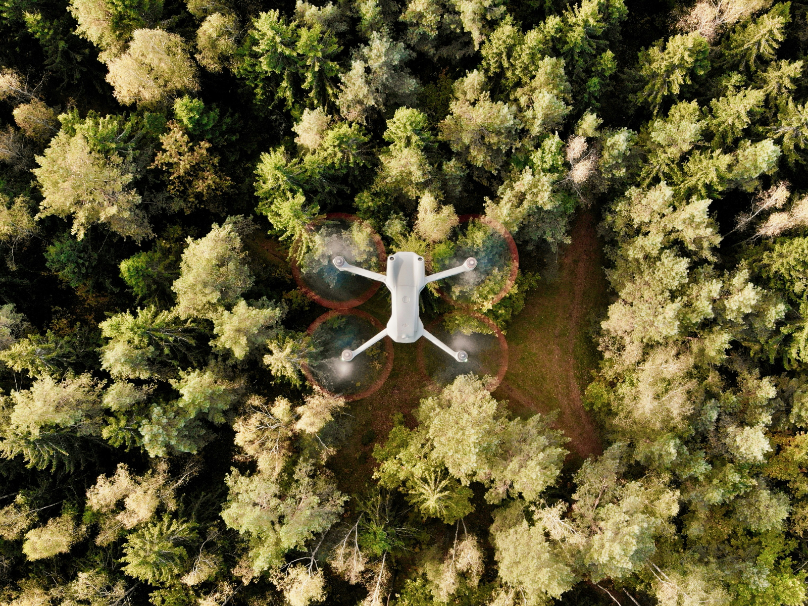 Drone photogrammetry survey