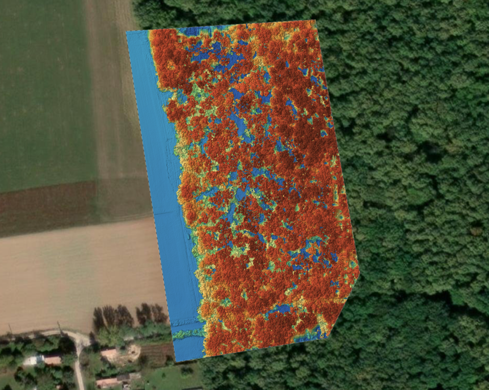 DSM layer forest