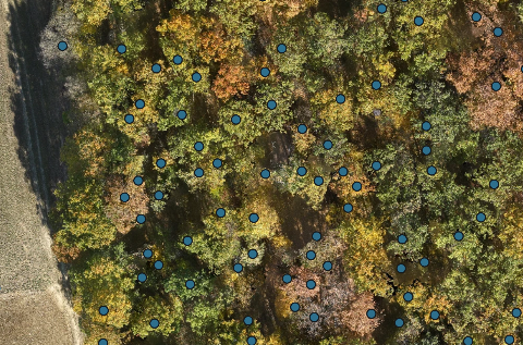 Can you count trees and bales from a drone survey?